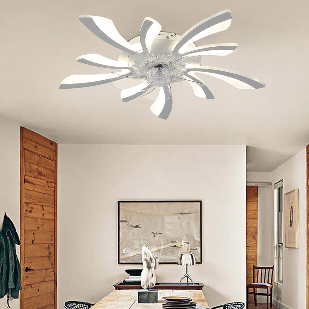 78cm Dia. Acrylic Creative Ceiling Fan with LED Lights - House Comfort
