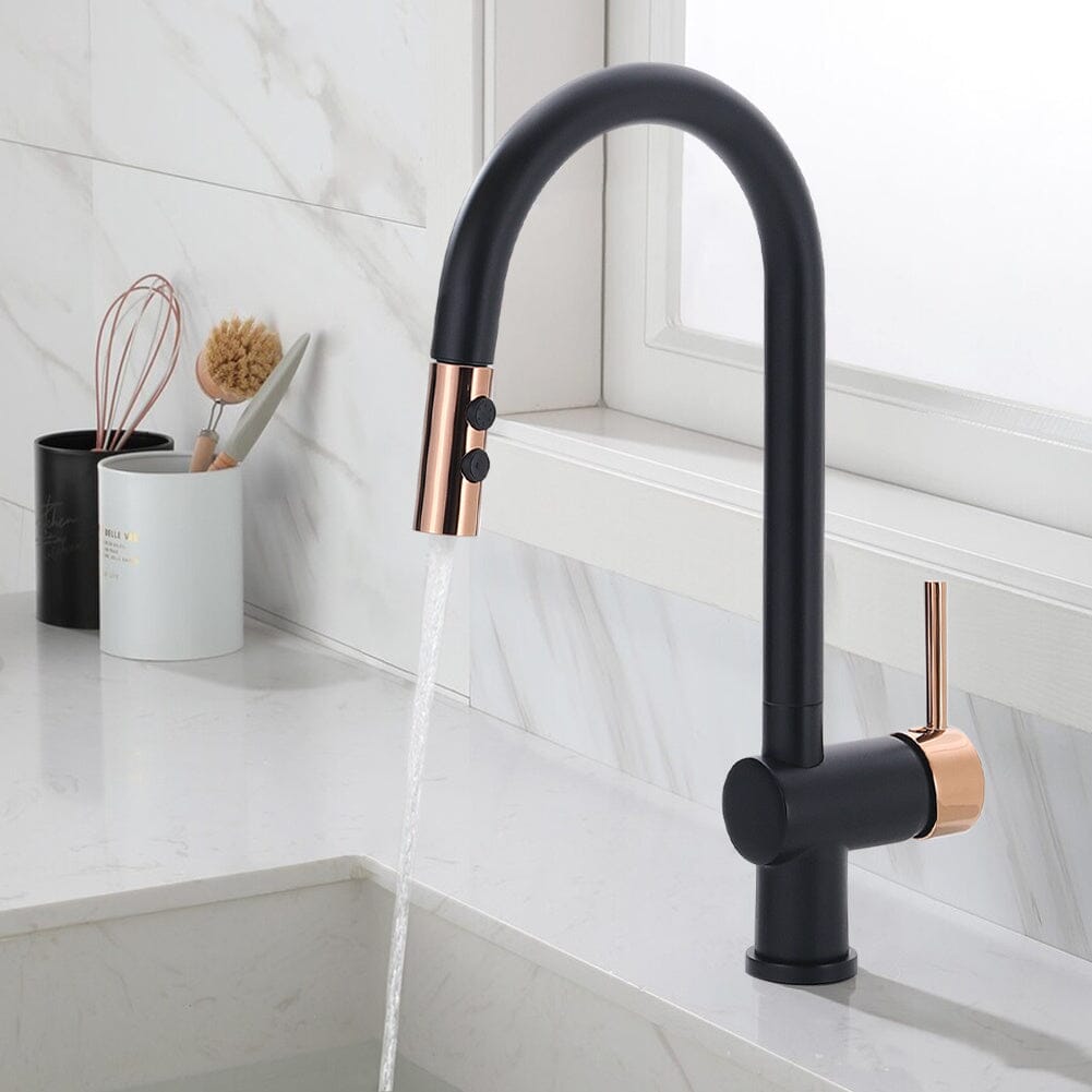 Black Pull Out Single Lever Mono Tap with 2 Jet Options - House Comfort