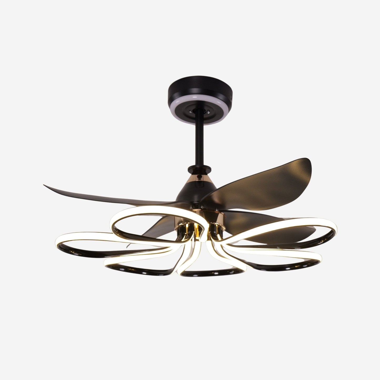 Lightsin Contemporary Black Aluminum Ceiling Fan Light for Living Rooms - House Comfort
