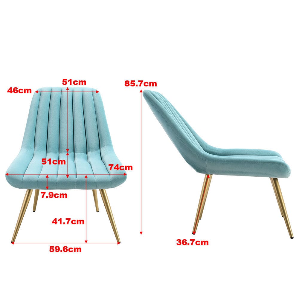 Velvet Upholstered Gold Metal Legs Lounge Accent Chair - House Comfort