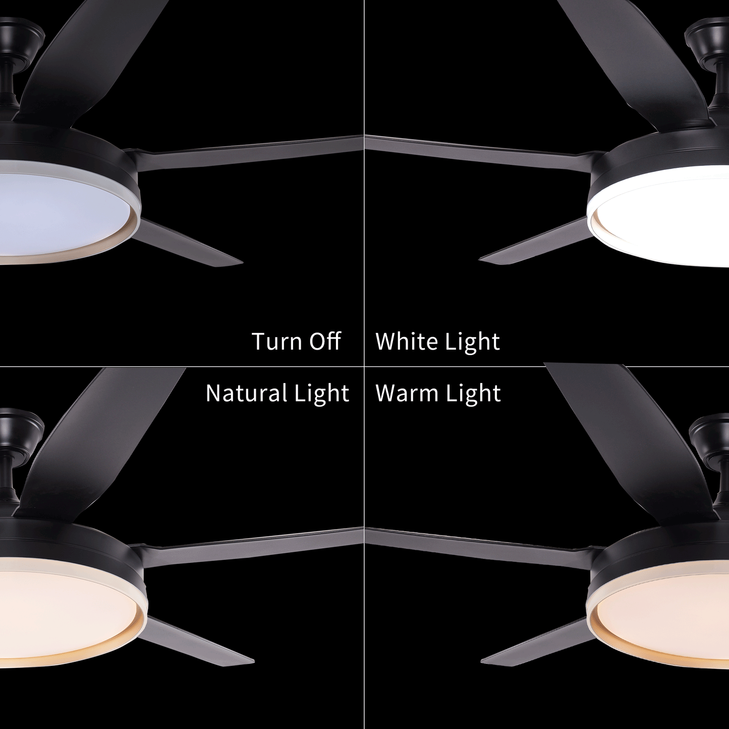 Lightsin Modern Smart Black Ceiling Fan Light with Remote and 6 Speeds Velora Boutique