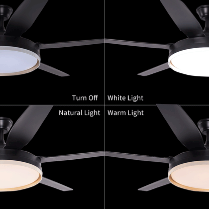 Lightsin Modern Smart Black Ceiling Fan Light with Remote and 6 Speeds Velora Boutique