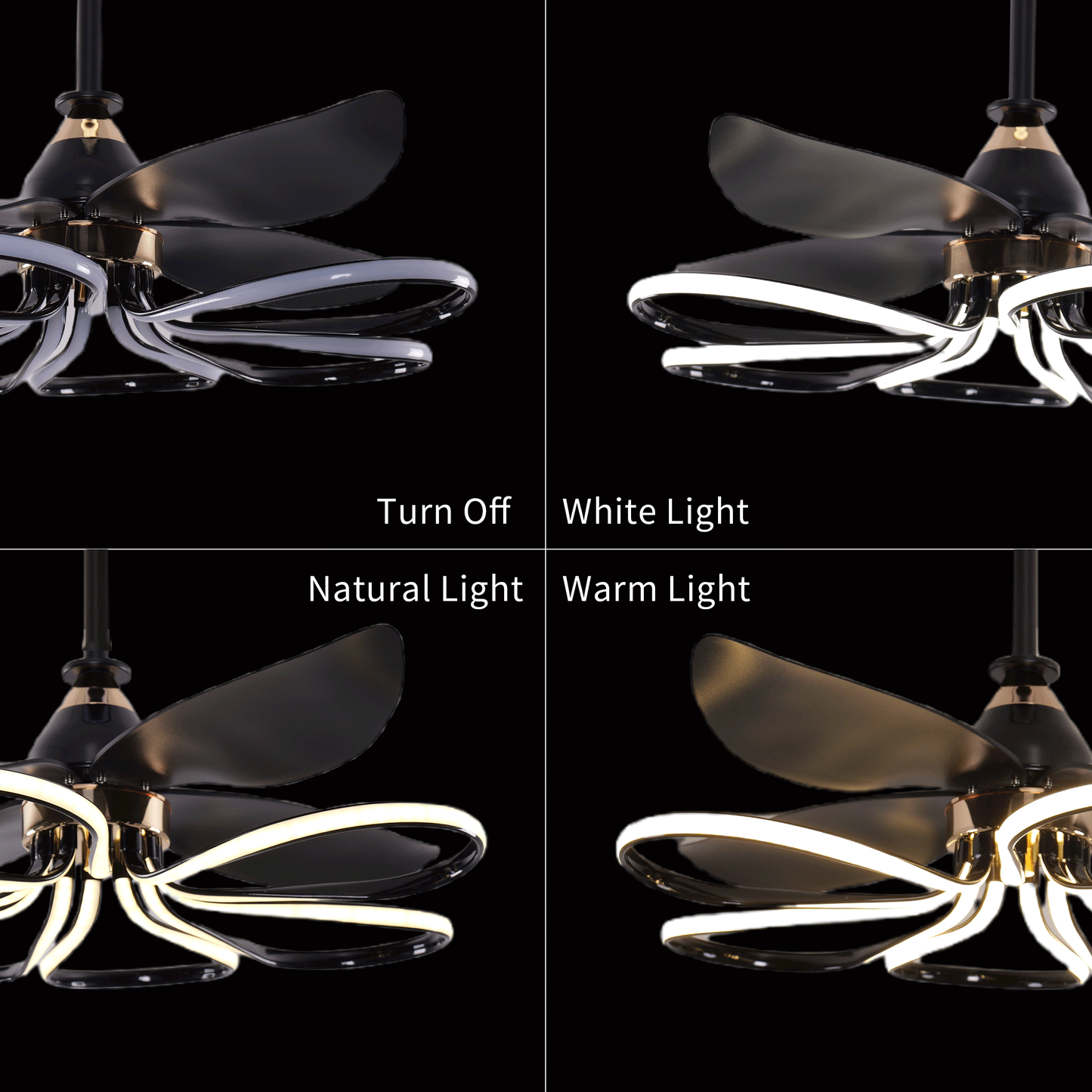 Lightsin Contemporary Black Aluminum Ceiling Fan Light for Living Rooms Velora Boutique