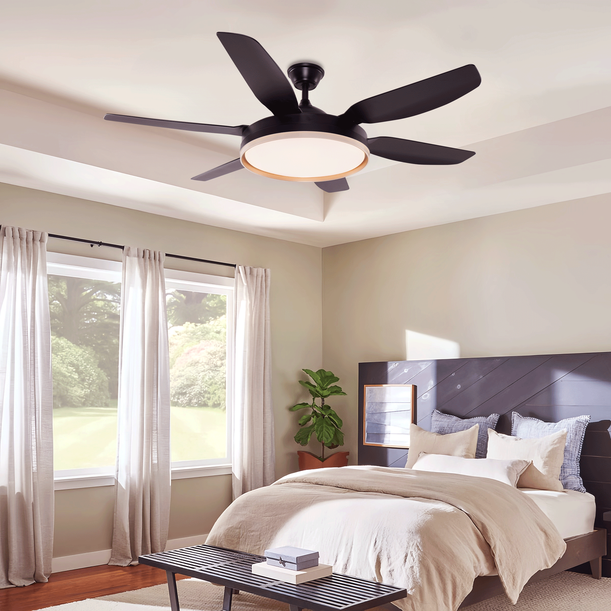 Lightsin Modern Smart Black Ceiling Fan Light with Remote and 6 Speeds Velora Boutique