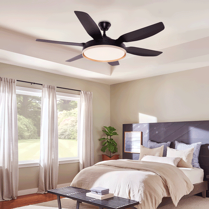 Lightsin Modern Smart Black Ceiling Fan Light with Remote and 6 Speeds Velora Boutique