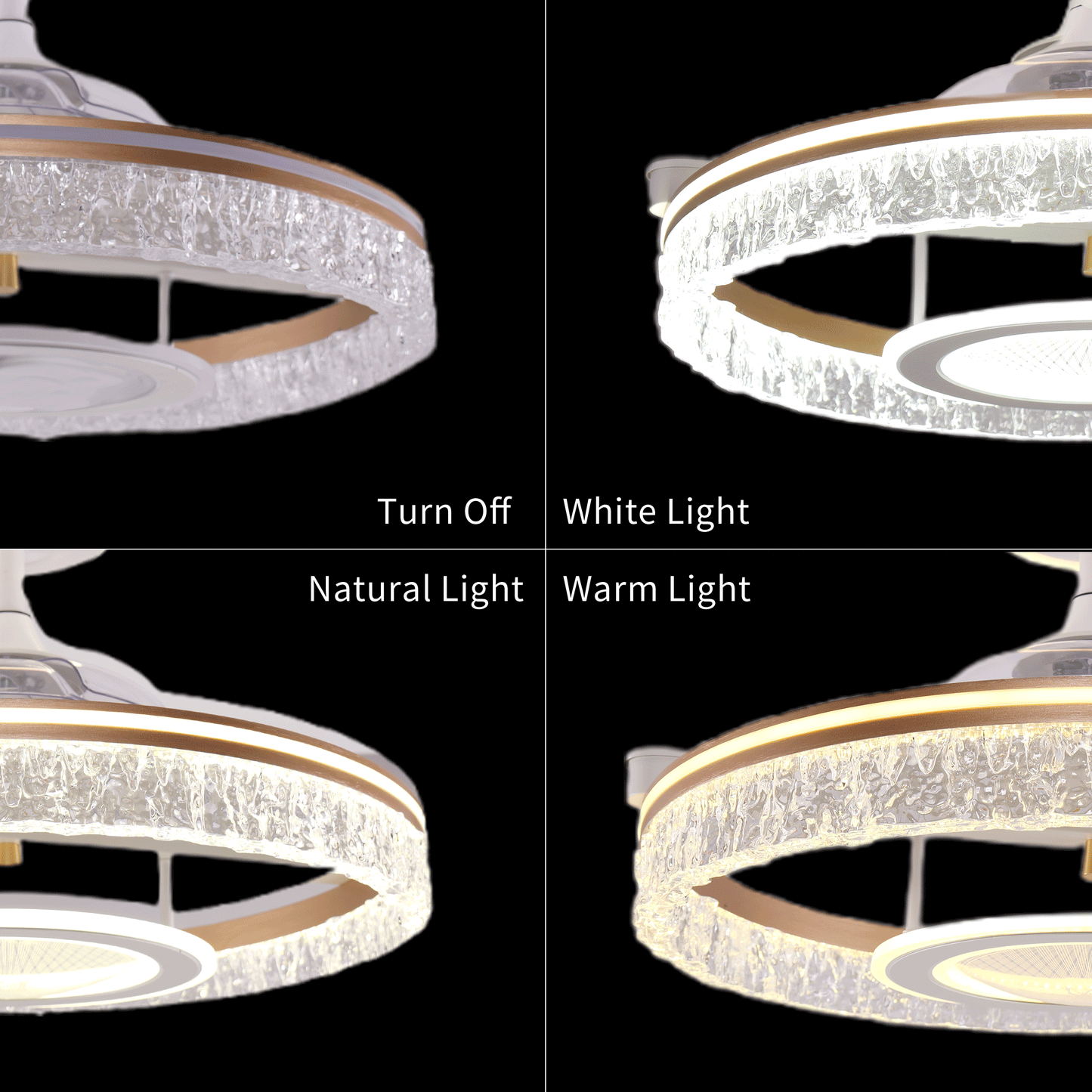 Lightsin Whisper Quiet Reversible Ceiling Fan with Light Acrylic and Metal Fan Ceiling Light Fixture Velora Boutique