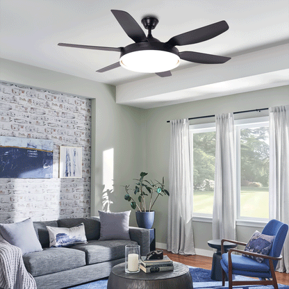 Lightsin Modern Smart Black Ceiling Fan Light with Remote and 6 Speeds Velora Boutique