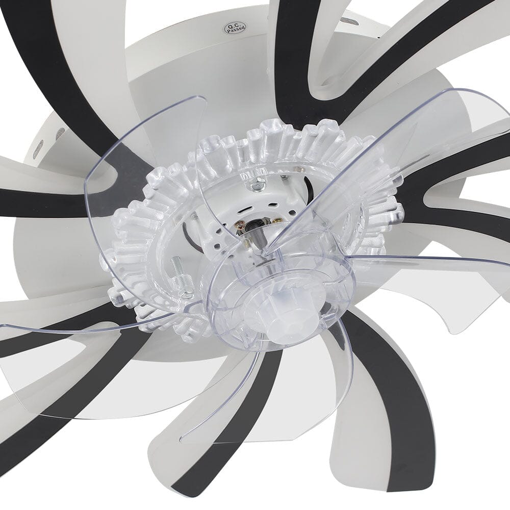 78cm Dia. Acrylic Creative Ceiling Fan with LED Lights - House Comfort