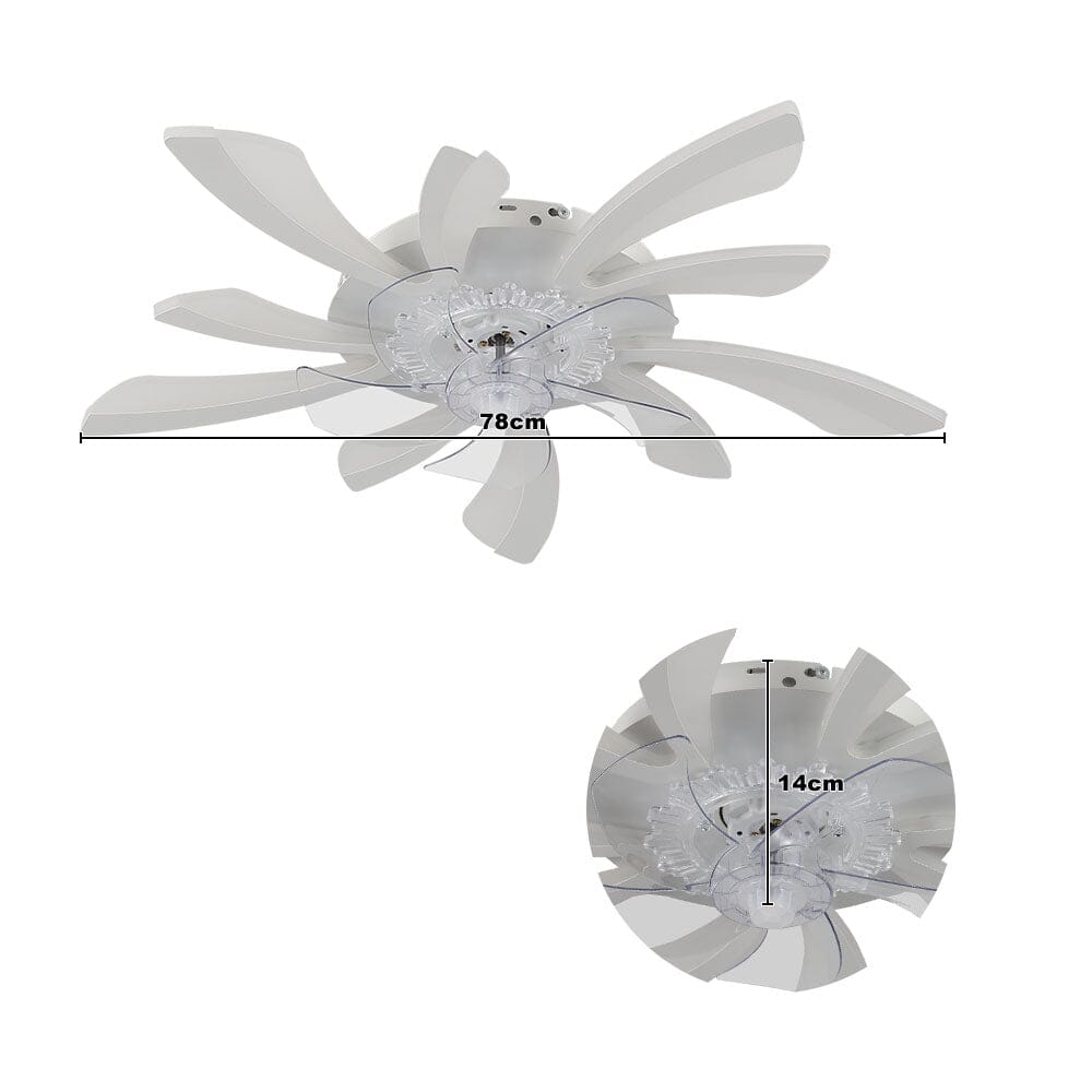78cm Dia. Acrylic Creative Ceiling Fan with LED Lights - House Comfort