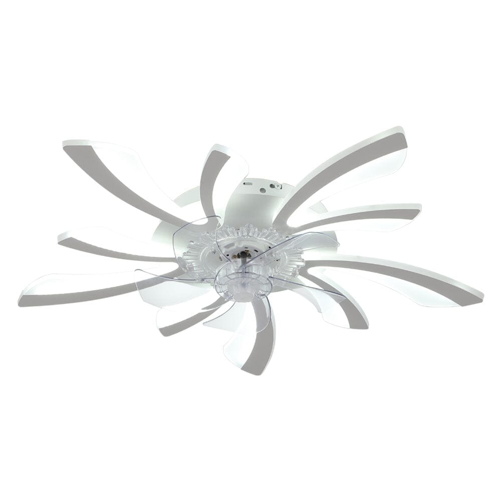 78cm Dia. Acrylic Creative Ceiling Fan with LED Lights - House Comfort