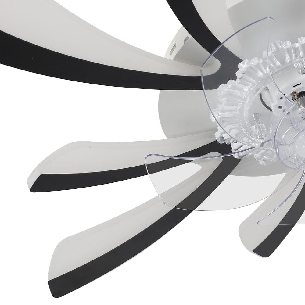 78cm Dia. Acrylic Creative Ceiling Fan with LED Lights - House Comfort