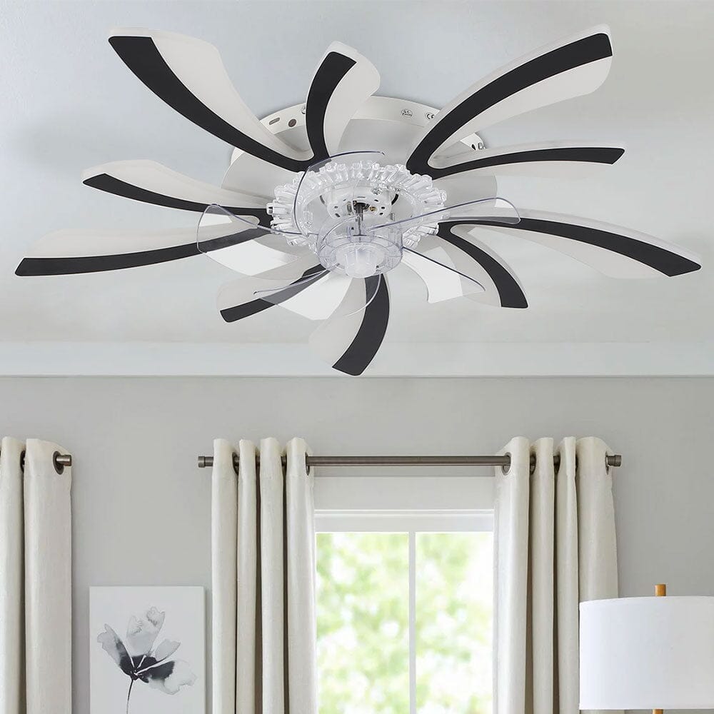 78cm Dia. Acrylic Creative Ceiling Fan with LED Lights - House Comfort