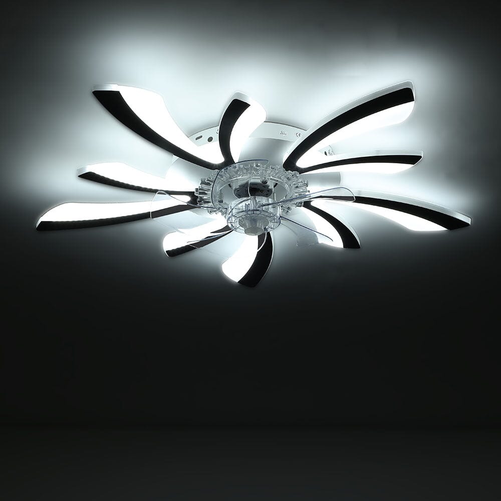 78cm Dia. Acrylic Creative Ceiling Fan with LED Lights - House Comfort