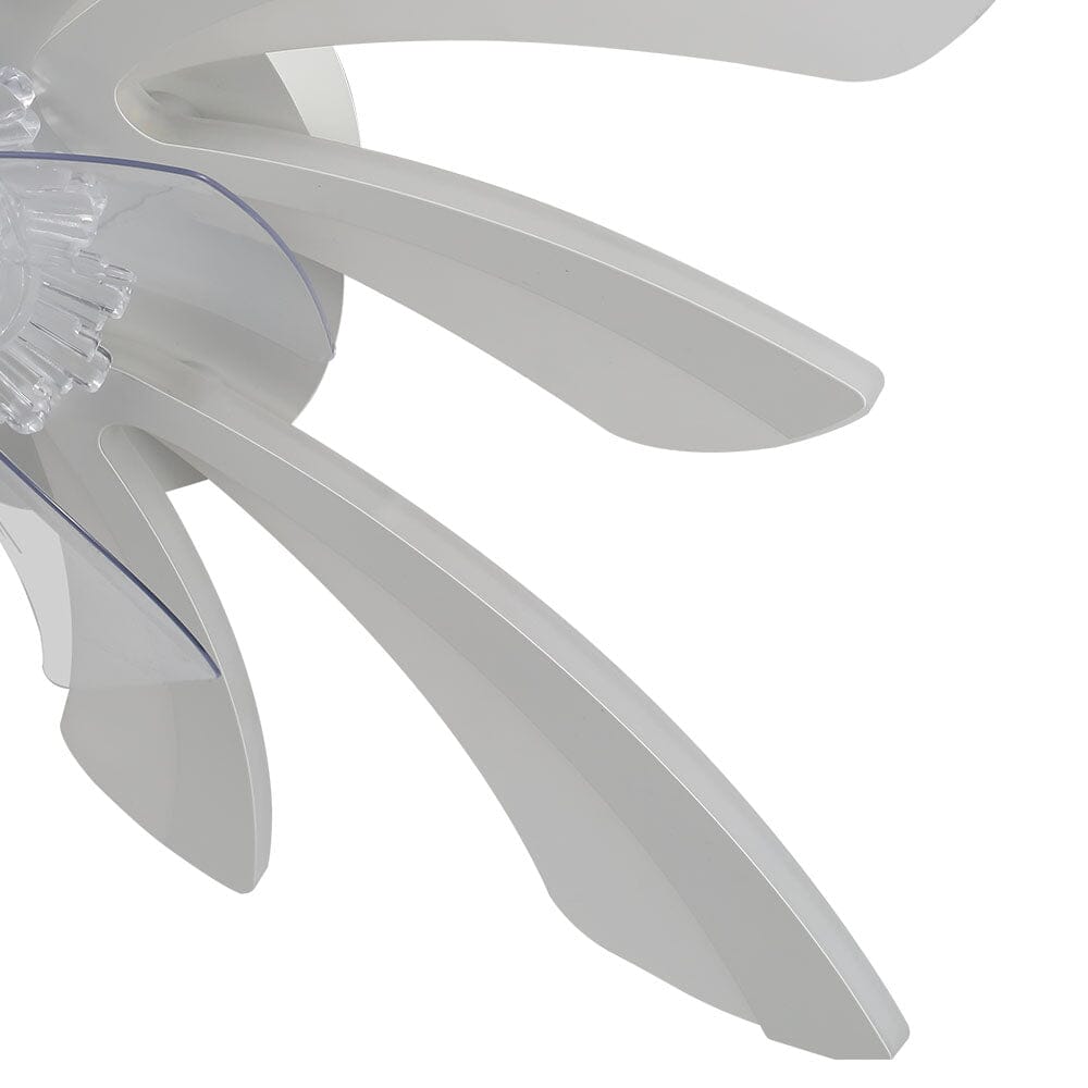 78cm Dia. Acrylic Creative Ceiling Fan with LED Lights - House Comfort