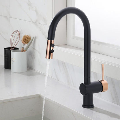 Black Pull Out Single Lever Mono Tap with 2 Jet Options - House Comfort