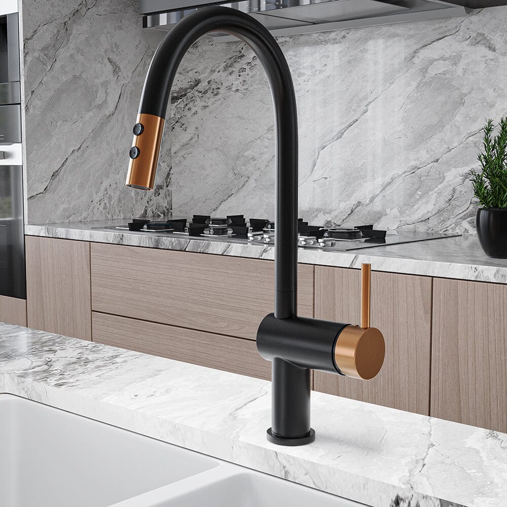 Black Pull Out Single Lever Mono Tap with 2 Jet Options - House Comfort