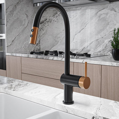 Black Pull Out Single Lever Mono Tap with 2 Jet Options - House Comfort