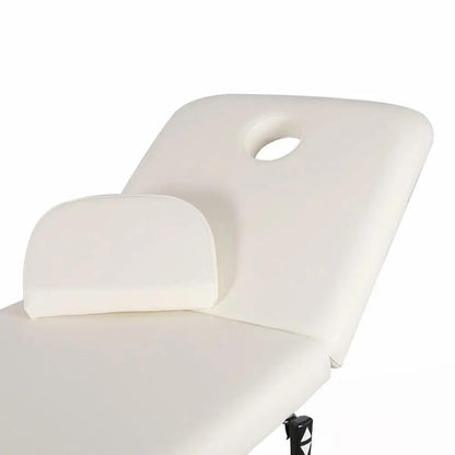 Electric Adjustable Reclining Tattoo Chair - Portable Salon Spa Bed - House Comfort