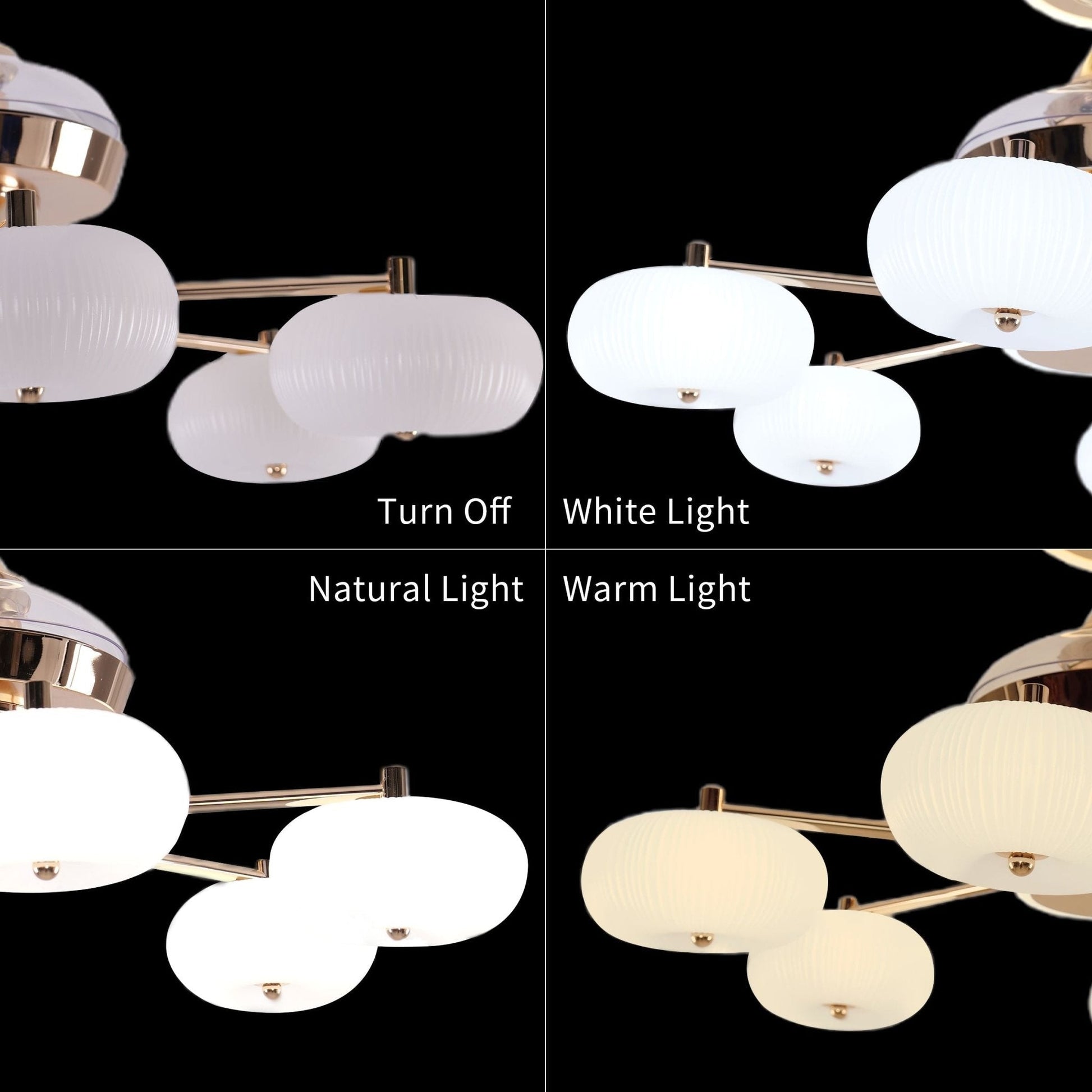 Lightsin Ceiling Fan Light with 6 - Speed Control in Copper and Acrylic - House Comfort