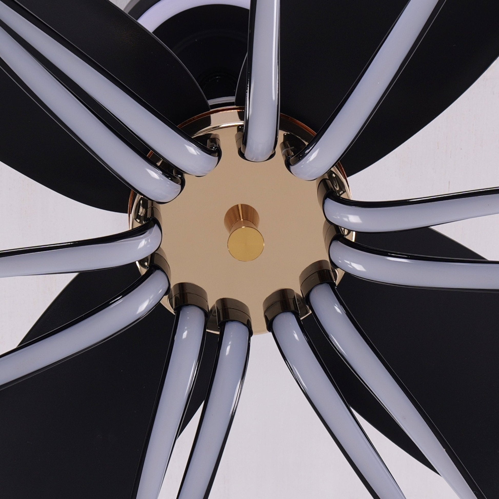 Lightsin Contemporary Black Aluminum Ceiling Fan Light for Living Rooms - House Comfort