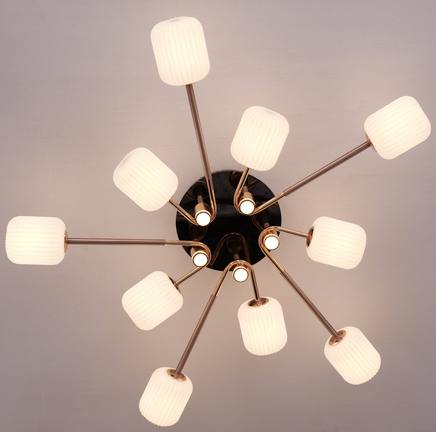 Lightsin Modern LED Tri - Color Changing Iron and Acrylic Ceiling Light - House Comfort