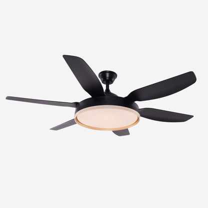 Lightsin Modern Smart Black Ceiling Fan Light with Remote and 6 Speeds - House Comfort