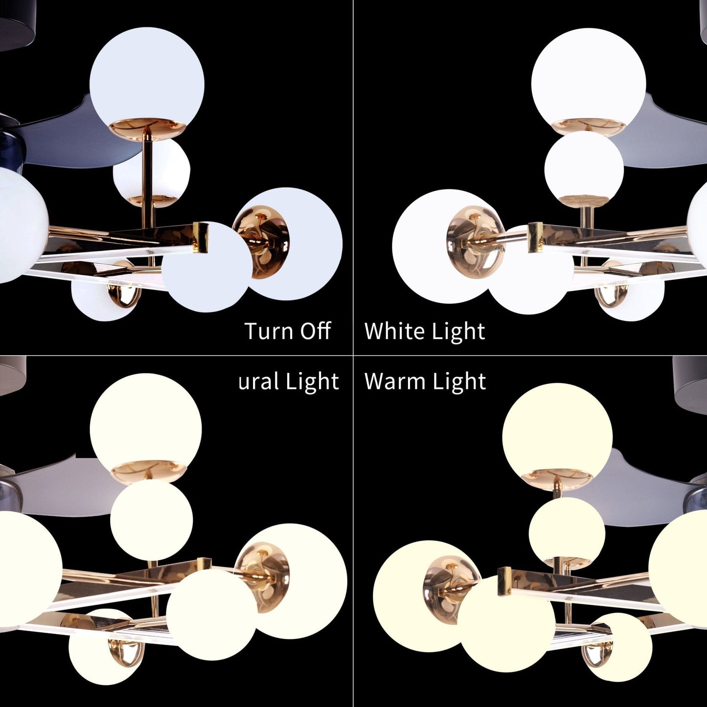 Lightsin Modern Sphere 3 - Blade Ceiling Fan with Light Black & Gold Finish - House Comfort