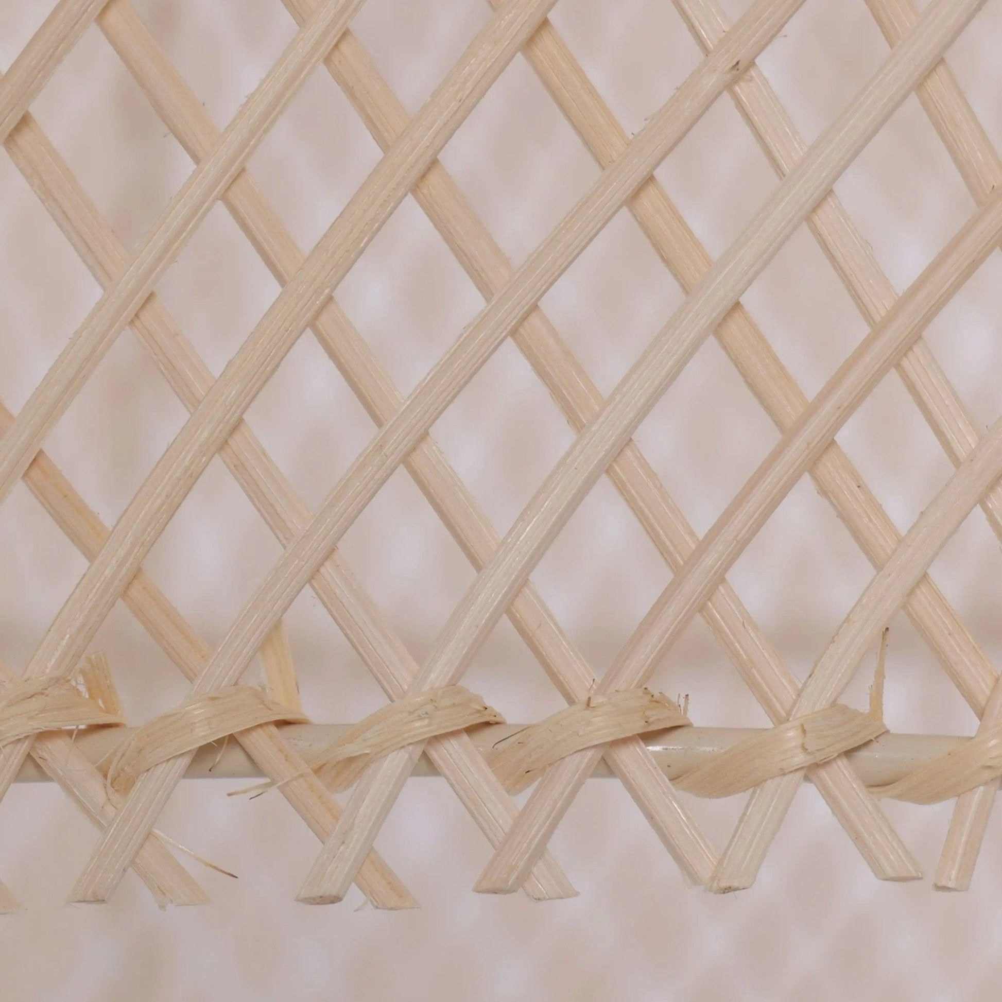 Lightsin TerraBell Dome Shaped Rattan Hanging Light - House Comfort