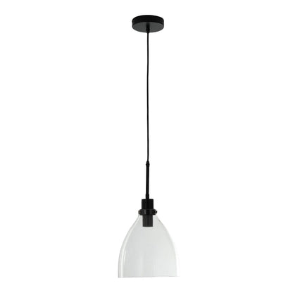 Modern Style Glass Single Light Pendant Light - House Comfort