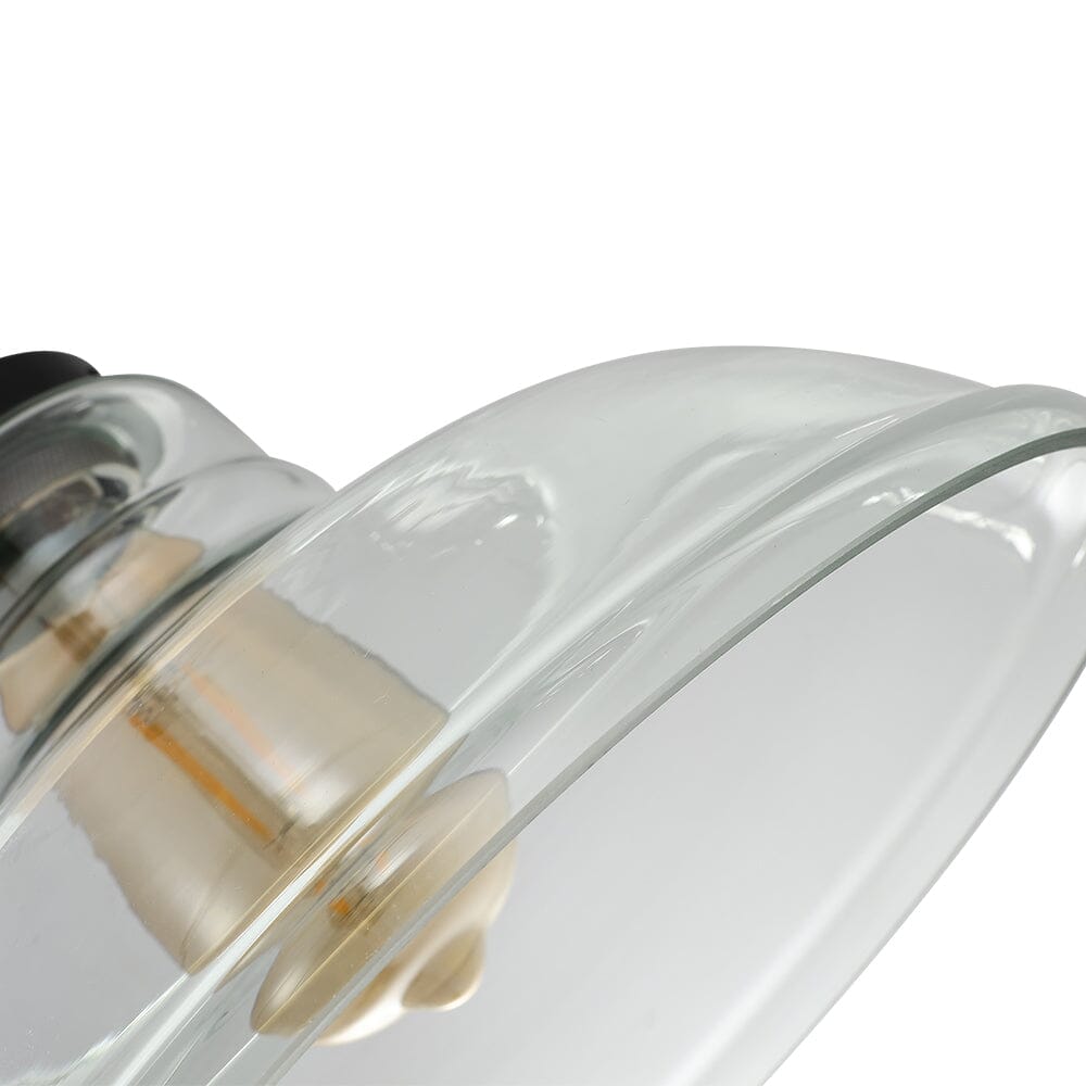 Modern Style Transparent Black Glass Single Light Pendant Light - House Comfort