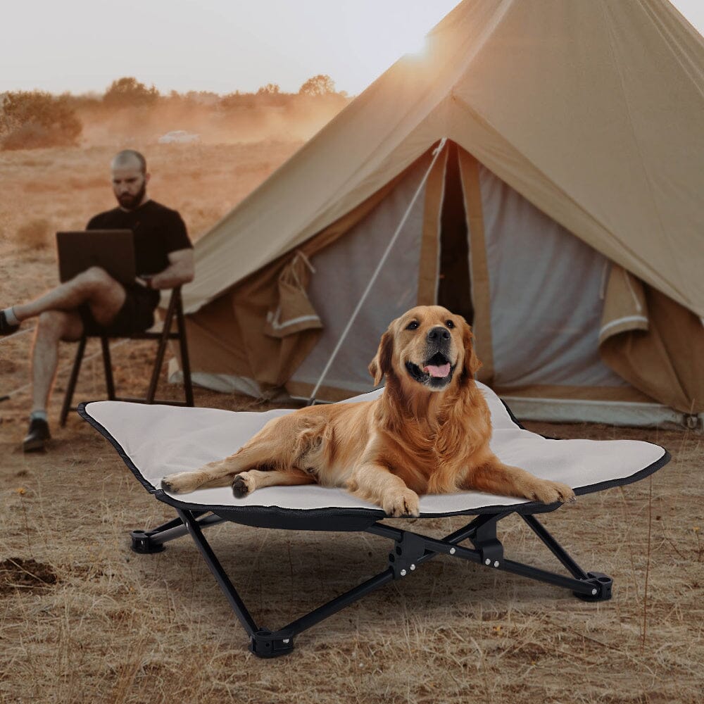 Portable Raised Pet Cot - House Comfort
