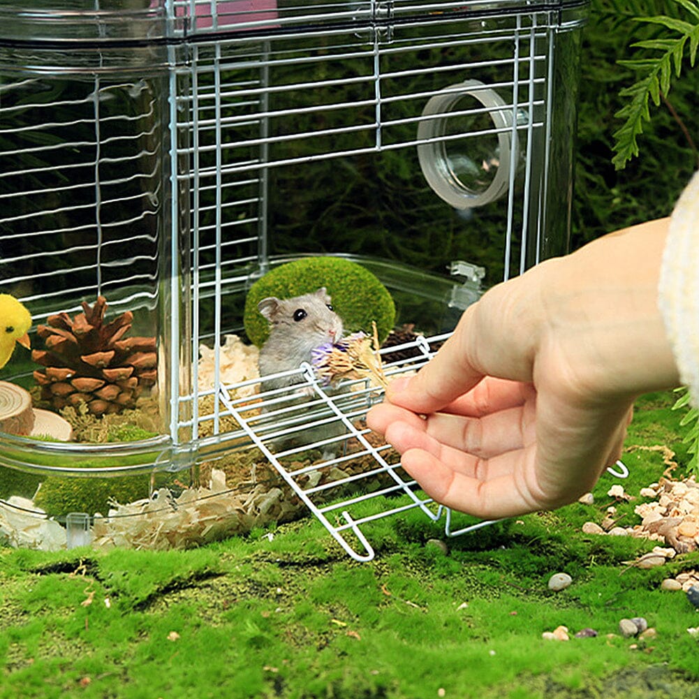 Portable Transparent Hamster Cage - House Comfort