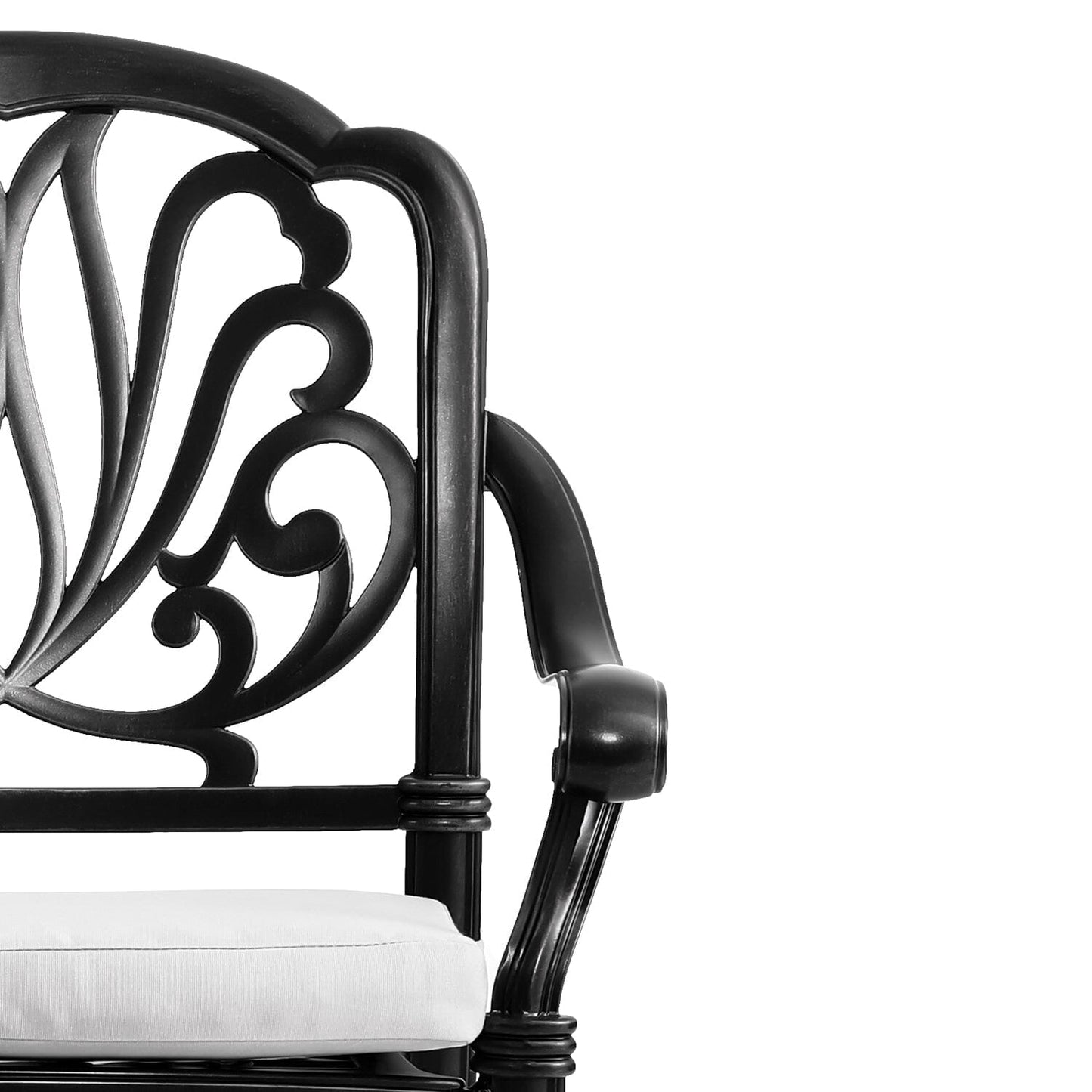 Set of 2 Outdoor Cast Aluminum Dining Chairs with Cushions - House Comfort