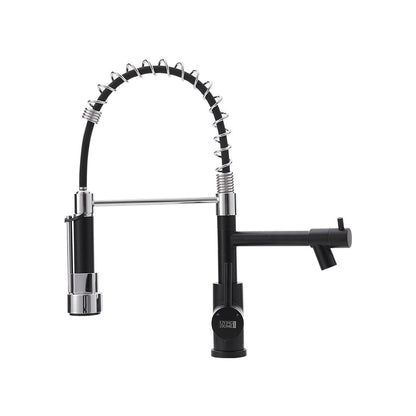 Stainless Steel Kitchen Faucet with Pull Down Spring Spout and Pot Filler - House Comfort